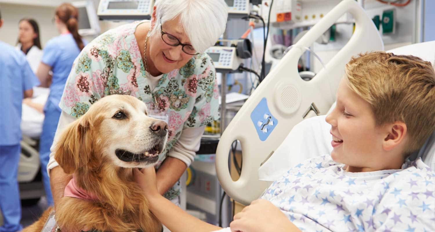 Therapy dog in hospital visiting sick child
