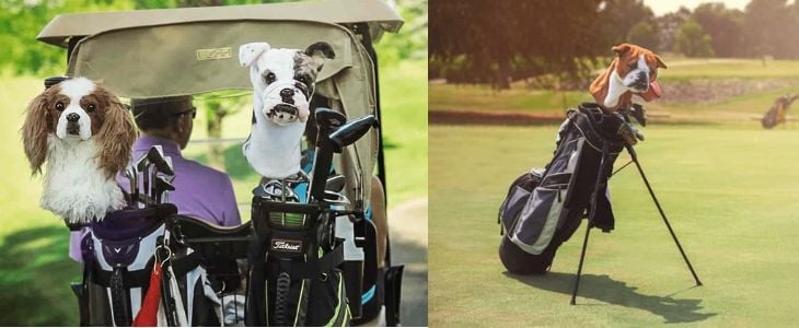 split screen image - left half features golf bags in back of golf cart with dog shaped golf club covers, right side features a golf bag on a putting green with a dog club head cover