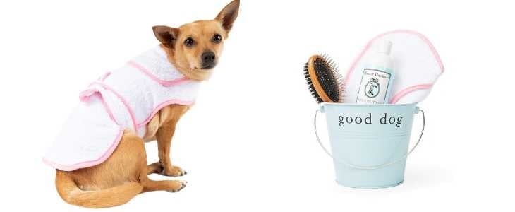 dog wearing a white doggie bath robe with pink trim and bucket holding a brush, shampoo and washcloth