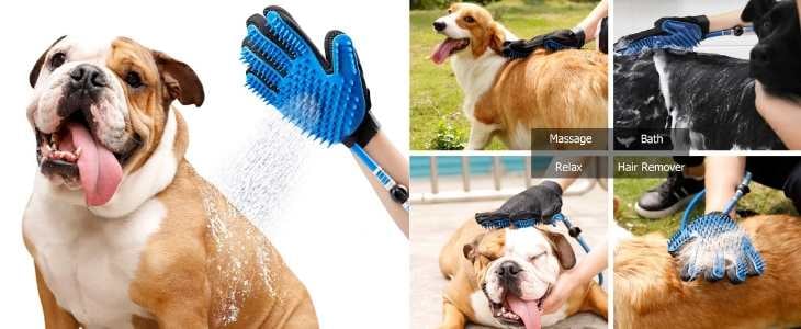 multipanel image demonstrating the dog shower sprayer 