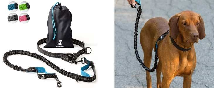 split screen image on the left is a product photo of the hands-free runner leash and the right side shows a dog wearing the leash