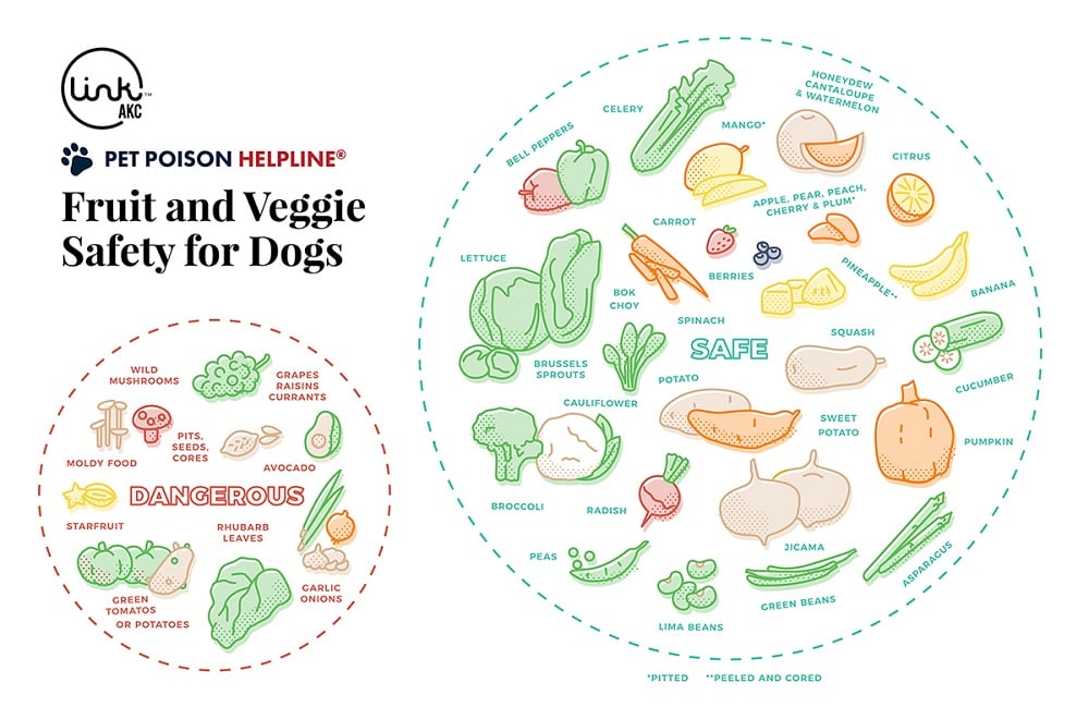 guide-to-safe-and-unsafe-fruits-and-vegetables-for-dogs-pph