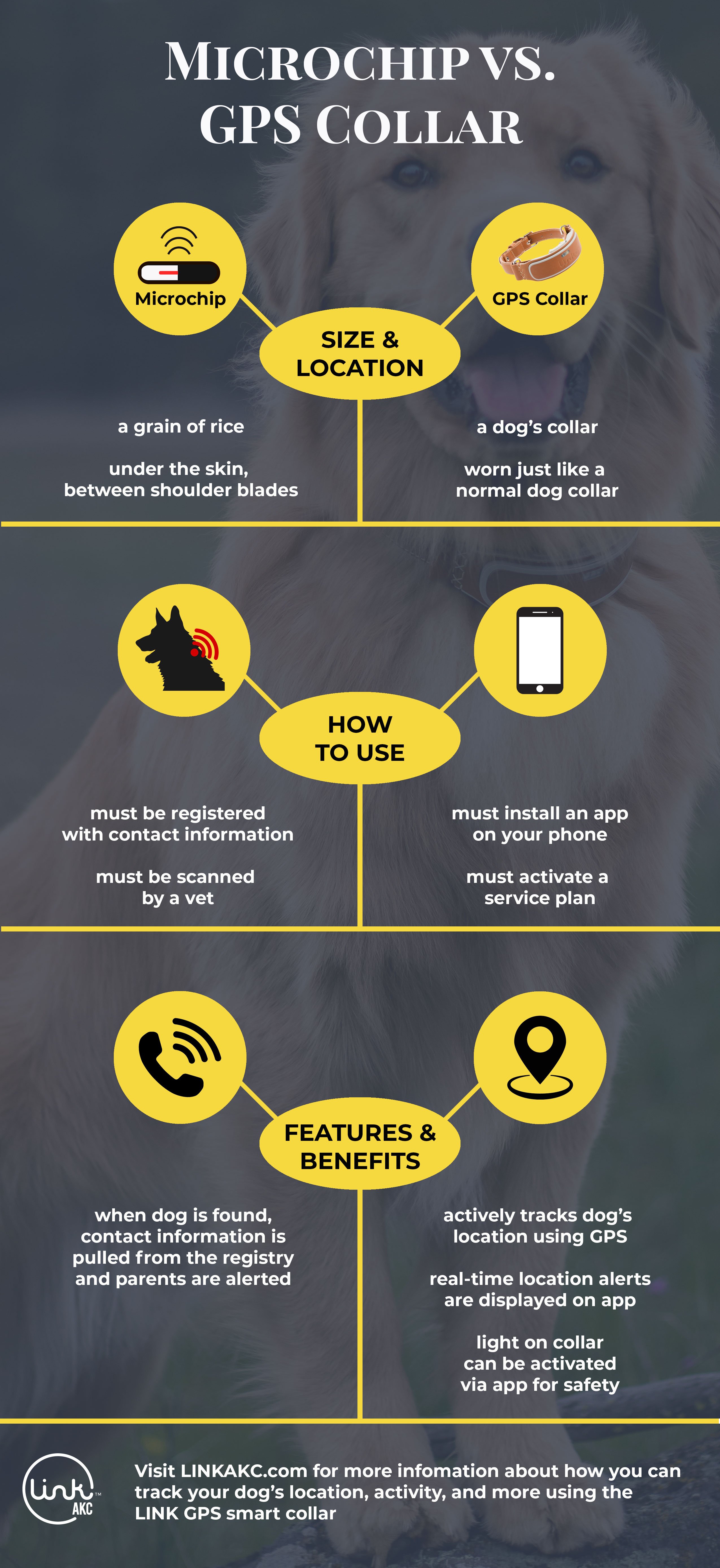 Infographic Microchip vs. GPS Collar