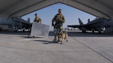 military-working-dogs-haney-mirko-body1
