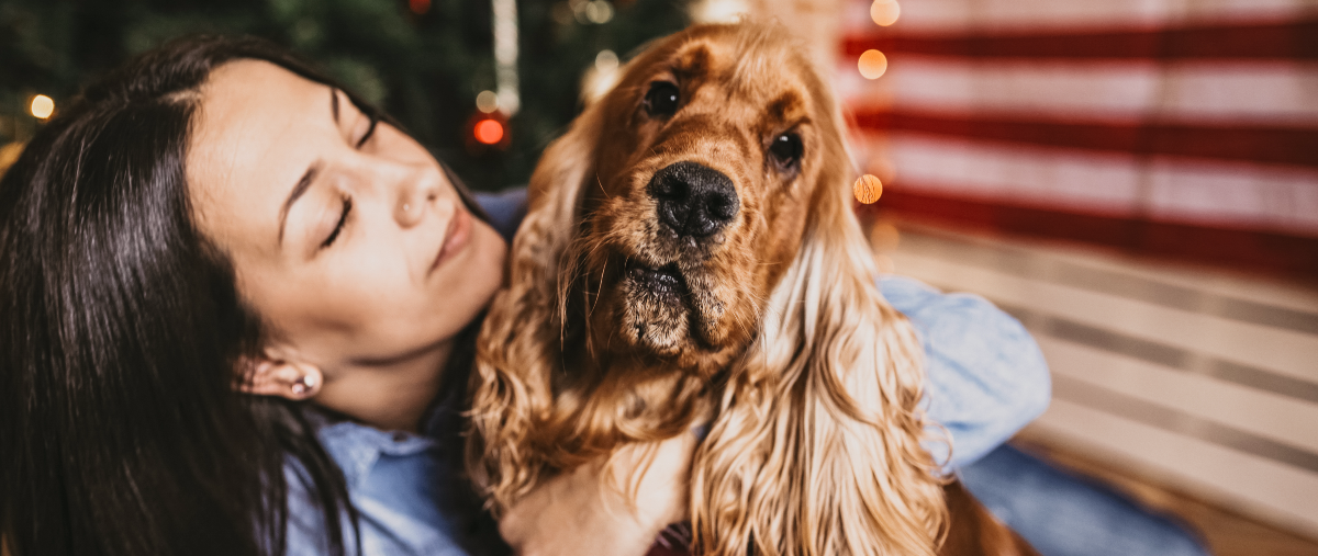 holiday-must-haves-ultimate-pet-tech-gift-guide-hero