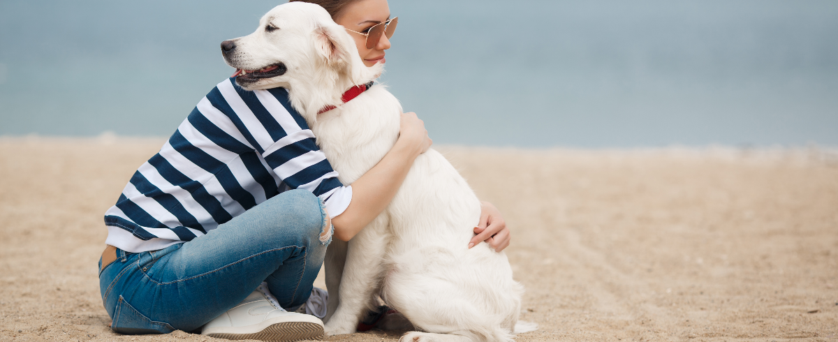 Dog Saliva Licks: Loveem Or Ditch Them For Good?