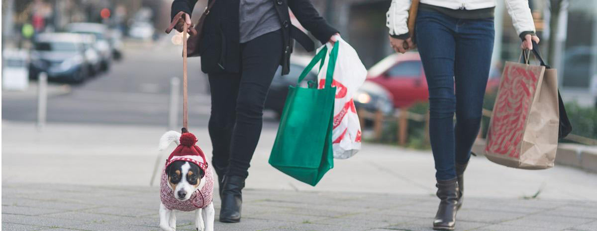 dog-shopping-for-holidays-hero
