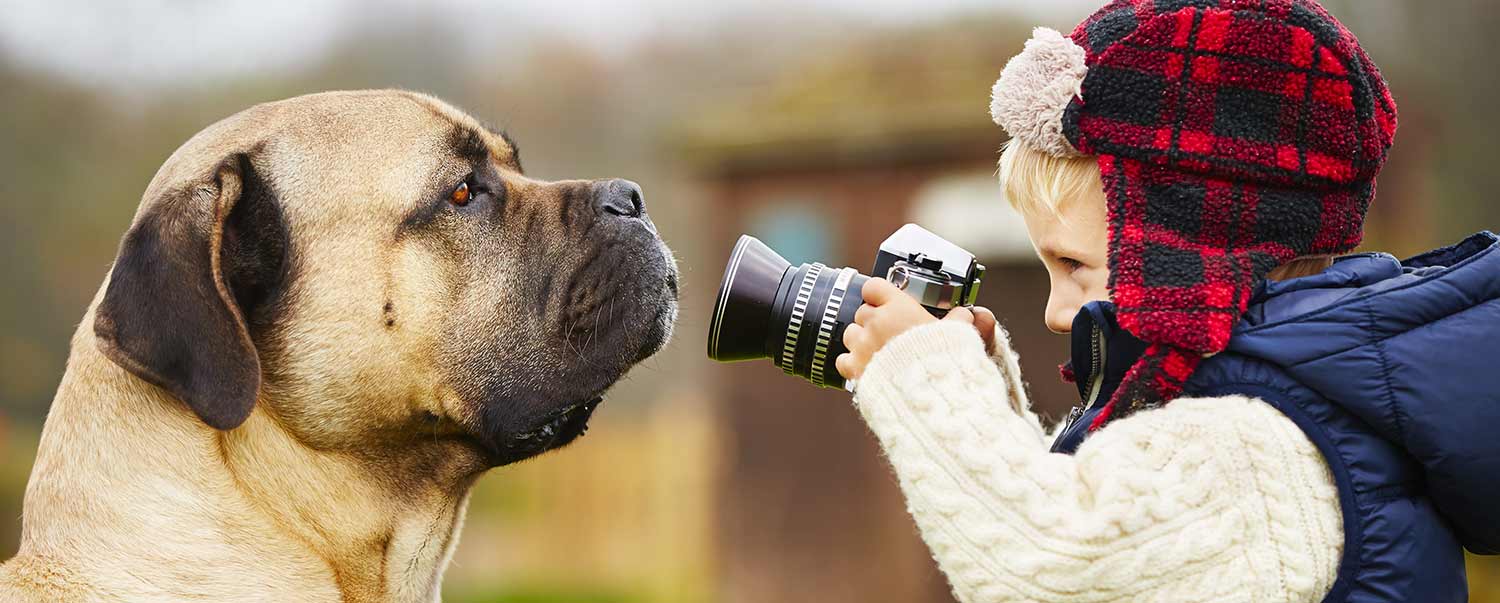 how-to-take-the-perfect-pet-photo